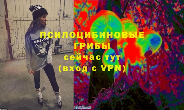 соль курить ск Бикин
