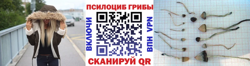 Псилоцибиновые грибы ЛСД  Нижняя Тура 